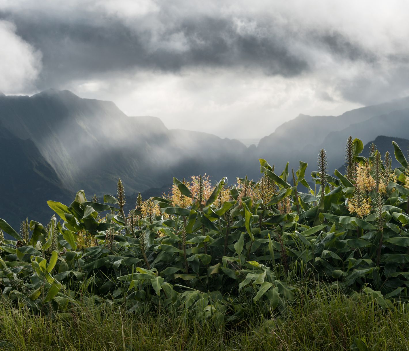 Blick vom Col des Boeufs in den Cirque de Salazie an einem wolkenverhangenen Tag