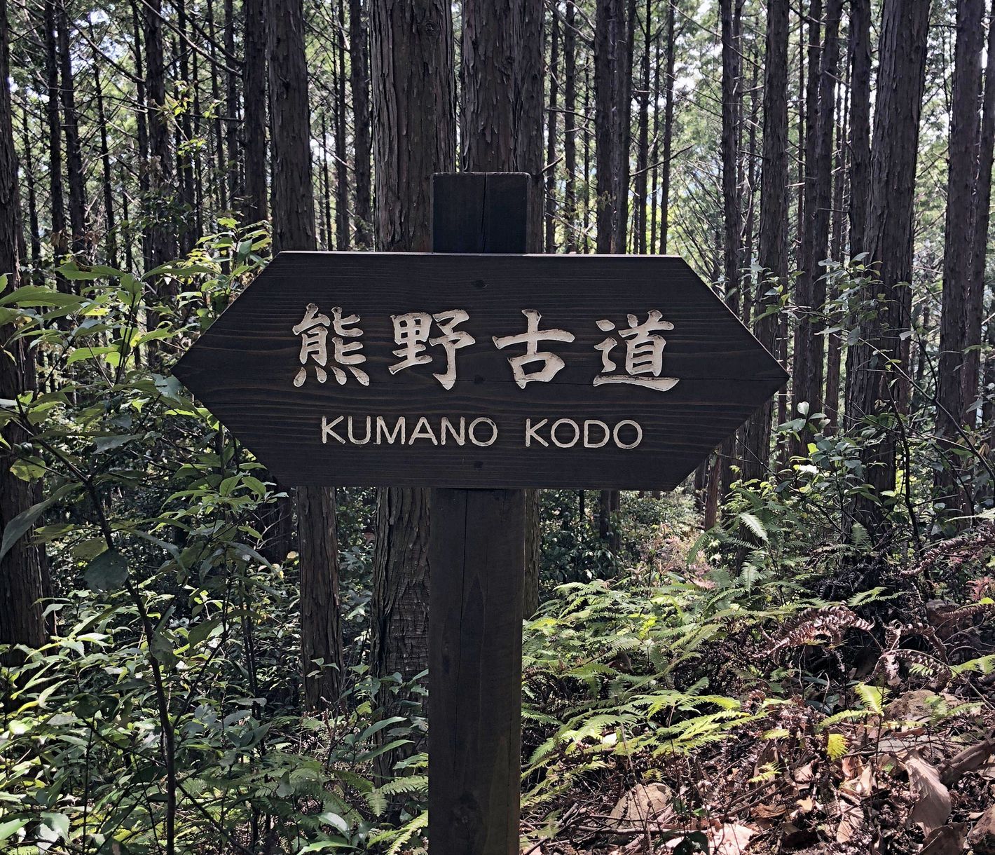 Der japanische Jakobsweg