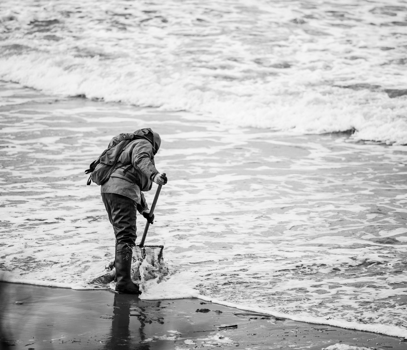 Bernsteinjagd in der Nähe von Karkle