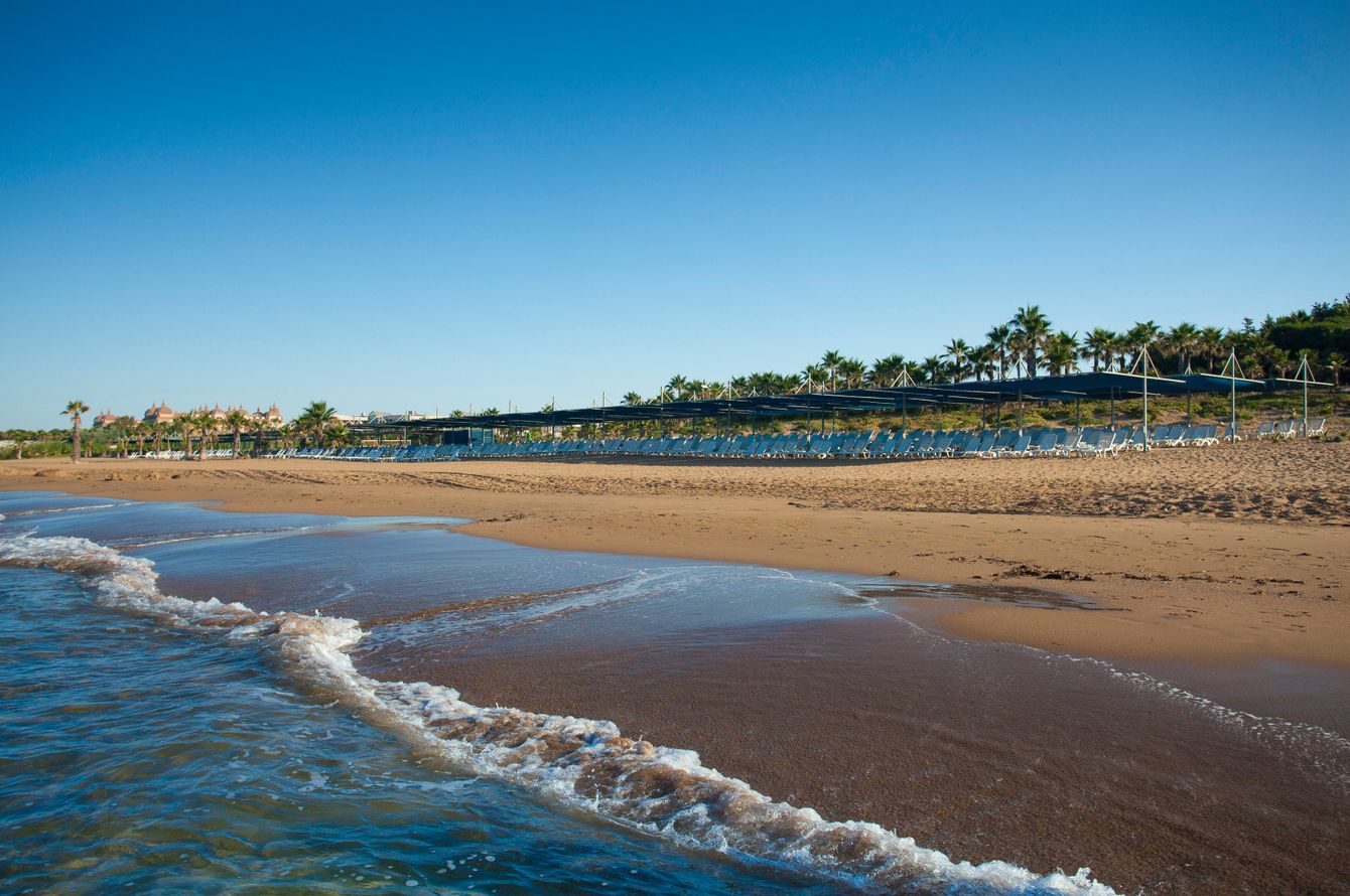 Strand